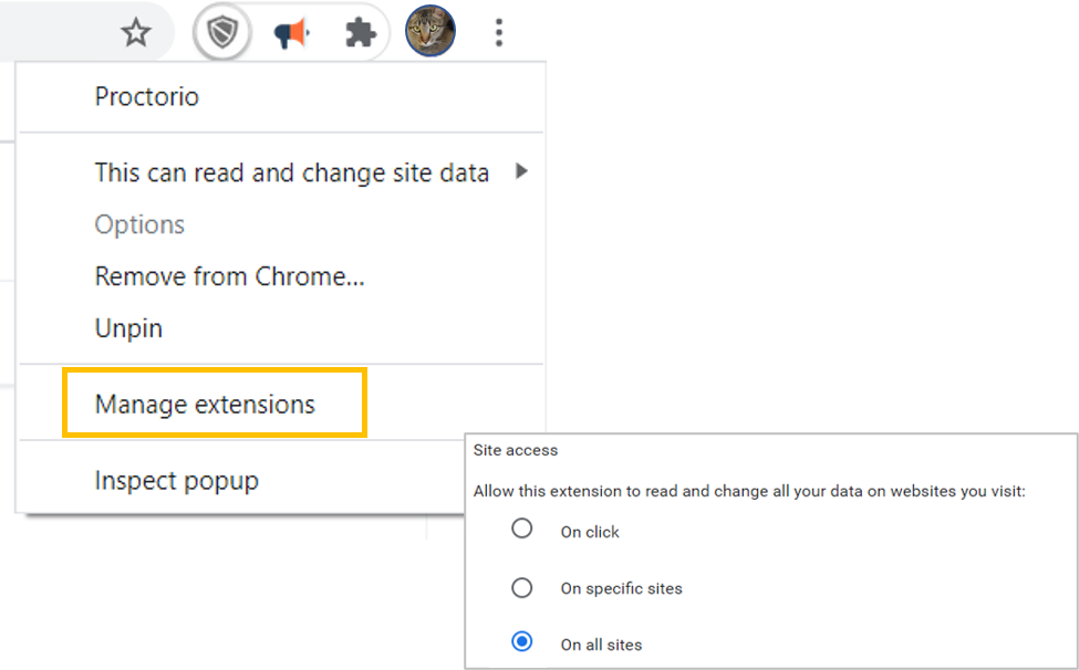 Proctorio isn't working, even though I have it installed in Chrome